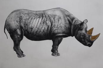 RHINOCEROS (state II)
Photopolymer print, with gold detail 660 X 850 mm edition 20
£420

